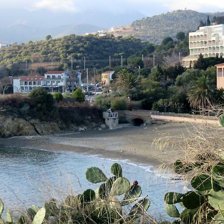 Les Pieds Dans L'Eau Apartman Banyuls-sur-Mer Kültér fotó